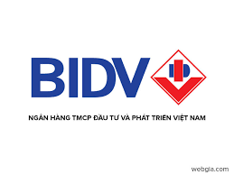 Lưu ý khi doanh nghiệp mua bán ngoại tệ tại ngân hàng BIDV.