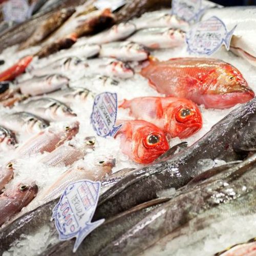 Hải sản đông lạnh bảo quản như thế nào mới được xem là chất lượng (2)